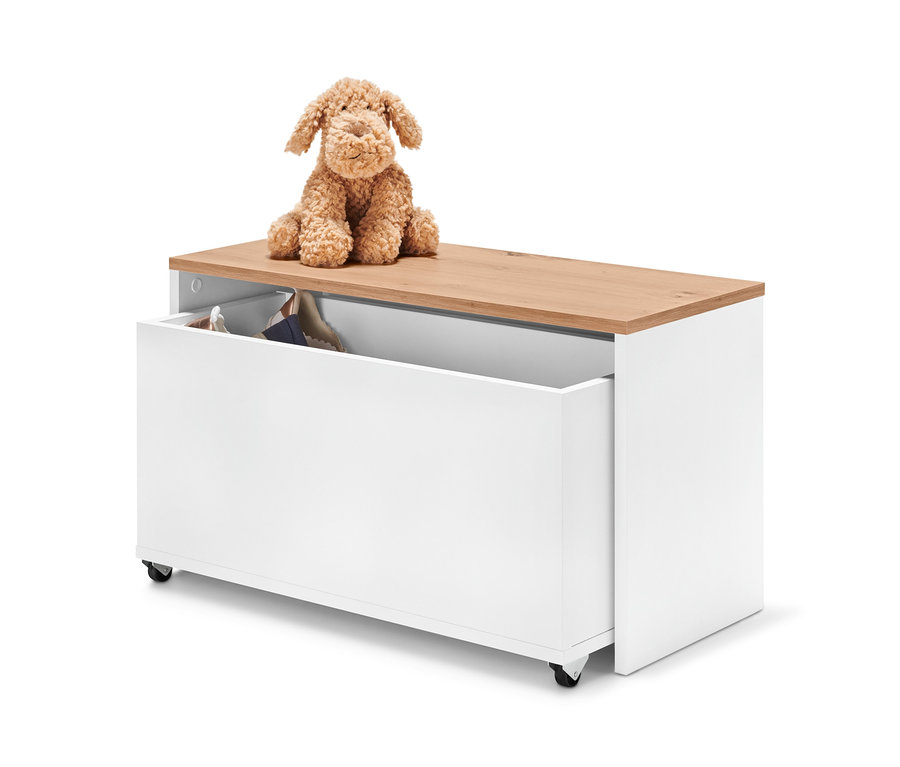 Un chien en peluche est assis sur un banc avec caisse de rangement.