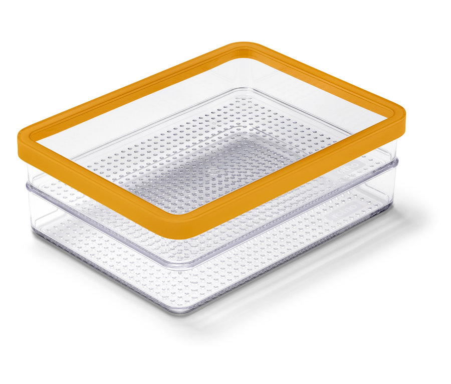 Deux boîtes en plastique transparentes l'une sur l'autre avec un bord orange.