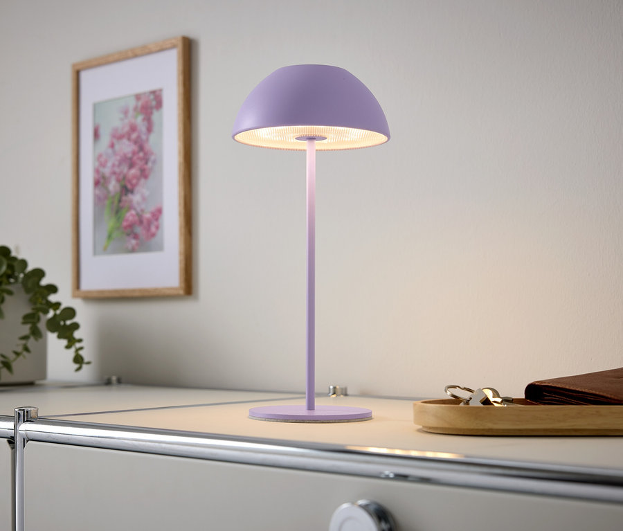 Lampe violette sur une table, à côté d'une image avec des fleurs et une plante.