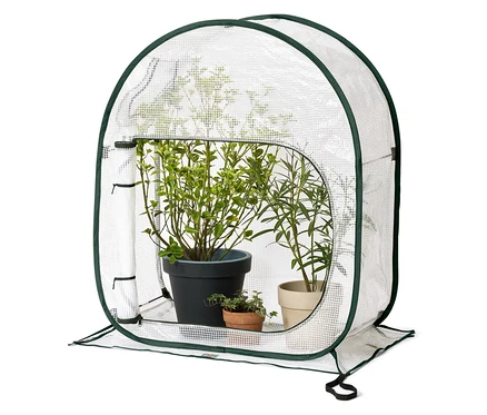 Des plantes en pot sont placées dans une petite serre avec un bord vert et une couverture transparente.