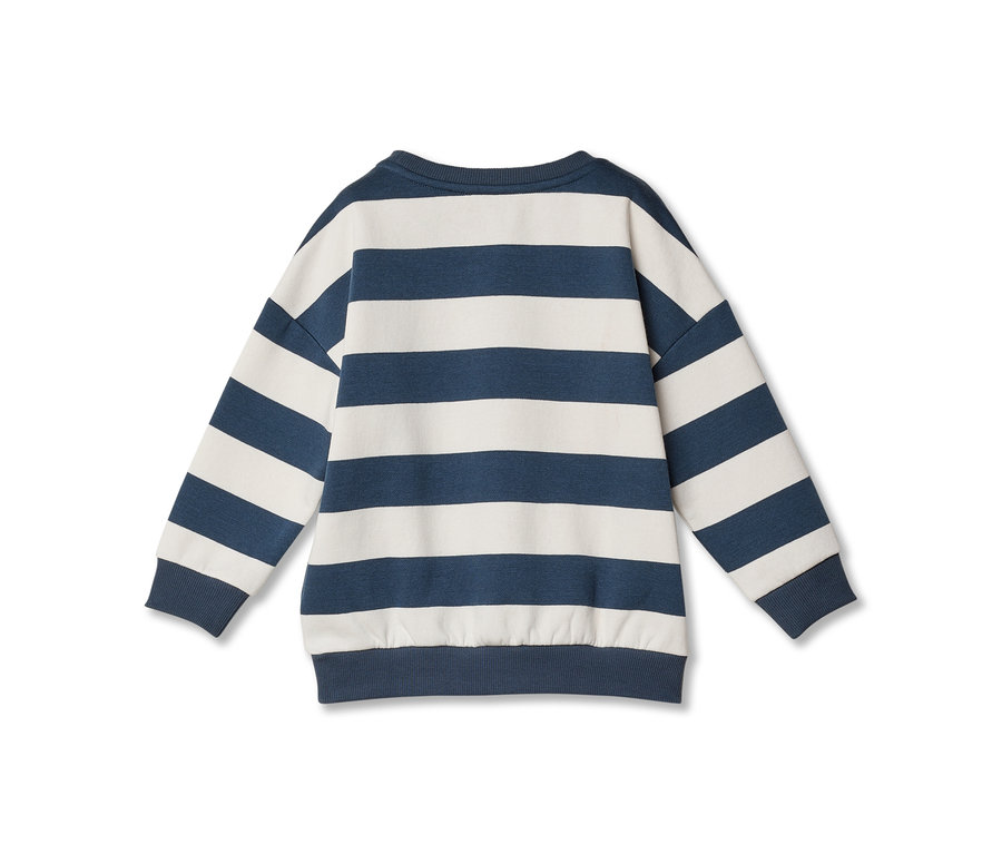 Vue de dos d'un sweat-shirt à manches longues avec des rayures horizontales bleu marine et blanc cassé, doté de poignets, d'un col et d'un ourlet côtelés.