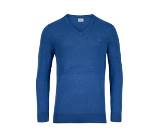 Bleu roi