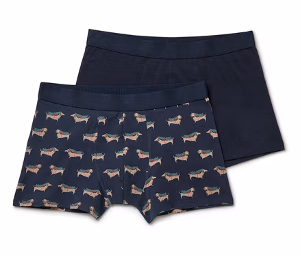 Deux boxers pour hommes : un avec un motif de teckel de Noël, l'autre bleu marine.