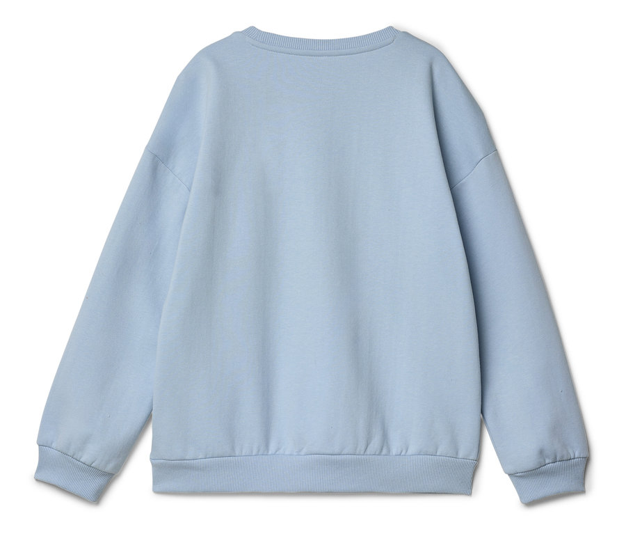 Sweat-shirt bleu clair uni, photographié de dos.