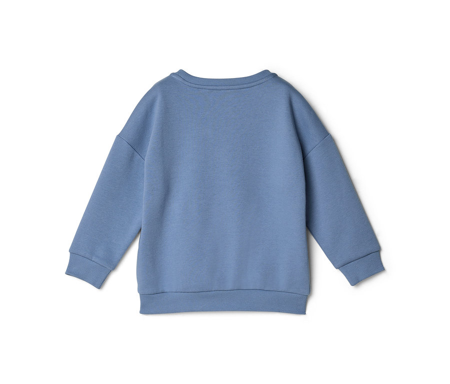 Sweat-shirt bleu à manches longues, vue de dos, avec col rond, poignets et ourlet côtelés, sur fond blanc.