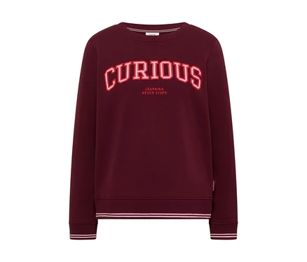 Sweatshirt CECIL bordeaux avec l'inscription rouge « CURIOUS » et « LEARNING NEVER STOPS » sur la poitrine.