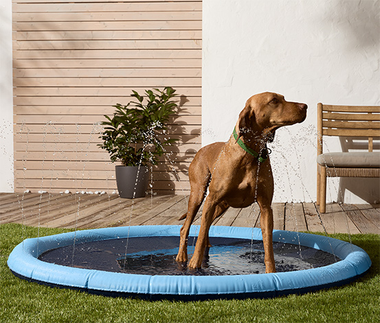 Tapis de jeu d'eau pour chiens