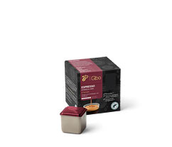 Qbo Espresso Apaneca Ana, 8 capsules