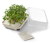 Set pour cultiver des micro-pousses