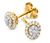 Clous d'oreilles en or 375 avec diamants