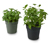 2 cache-pots pour herbes