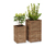 2 colonnes à plantes « Tinus » 