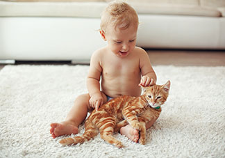 Un bébé est assis sur un tapis blanc et caresse un chat brun-rougeâtre.