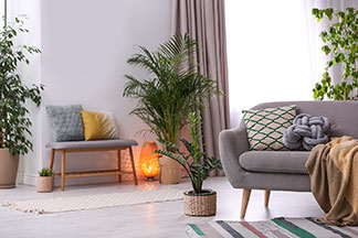 Une lampe décorative comme accroche-regard : un salon avec un canapé gris, diverses plantes vertes, et un petit banc à côté duquel se trouve une lampe ovale au sol qui émet une lumière orange.