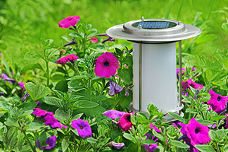 Éclairage de jardin avec la technologie solaire : une lampe solaire entourée de fleurs, posée sur une pelouse verte.
