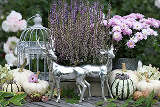 Des figurines comme décoration de jardin : autour d'une vigne de lavande posée sur une table de jardin se trouvent deux cerfs en métal, de petites citrouilles ornementales et une petite lanterne.