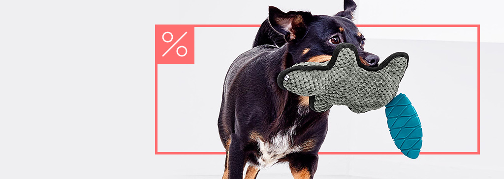 SOLDES Animalerie
